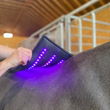 Alt du skal vide om Equine LTS lysbehandling