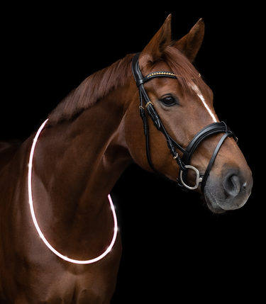Waldhausen LED Lysende Halsring - Equinics