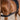 Waldhausen Body Bandage - Equinics