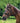 Waldhausen Ridekapsun - Equinics