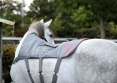 Equilibrium Massage Pad Heatsense - Equinics