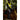 Woof Wear 3-i-1 Rytterlygte - Equinics