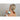 Photizo Pain Relief - LEJE - Equinics