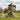 Equilibrium Tri Zone Impact Sports Gamacher GAMMEL LOGO - Equinics