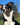 Hunden