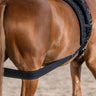 Waldhausen Body Bandage - Equinics