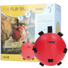 Maximus Fun Play Ball - Equinics