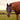 Equilibrium Fluemaske til muldyr - Equinics