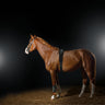 EquiPod Complete Kit - Equinics