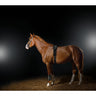 EquiPod Complete Kit - LEJE - Equinics