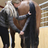 Nathalie Easy Go Mane ‘n’ Tail Gel - Equinics