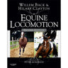 Equine Locomotion - Equinics